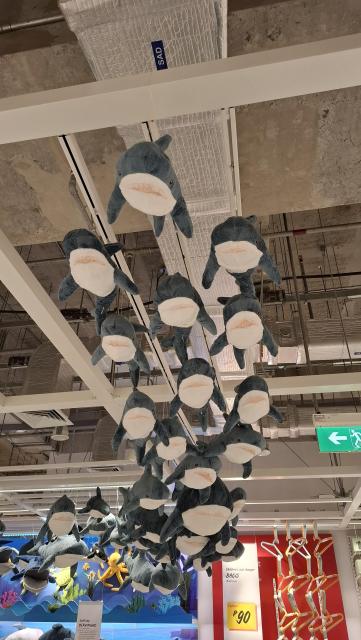 A school of IKEA BLÅHAJ (55 cm) attached to a ceiling rail. There are over 20 of them.