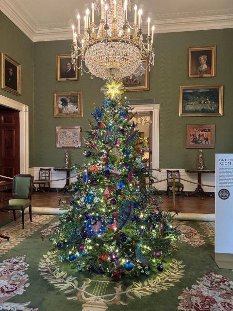 A Christmas tree at the White House surrounded by portraits.