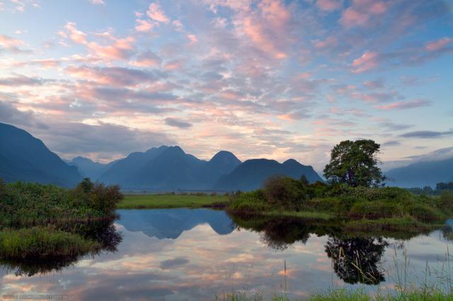 Widgeon Peak is reflected in a pond (with a subtle sunset in the clouds above) on the shore of the Pitt River in British Columbia