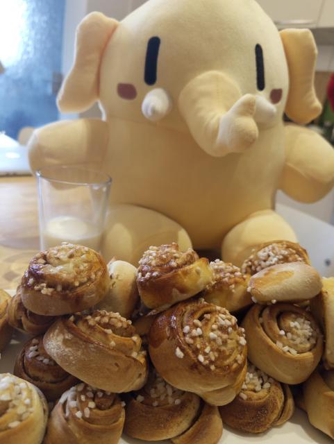 The blushtodon with a big plate with cinnamon buns and a glass with milk.