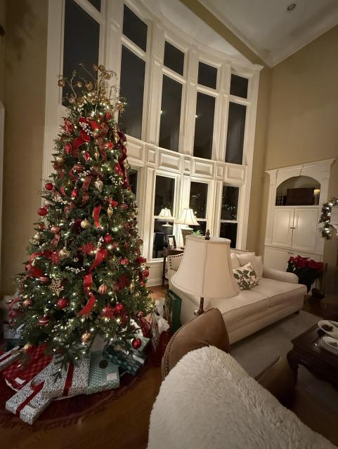 A picturesque Christmas tree in a southern house decorated in a traditional modern style 