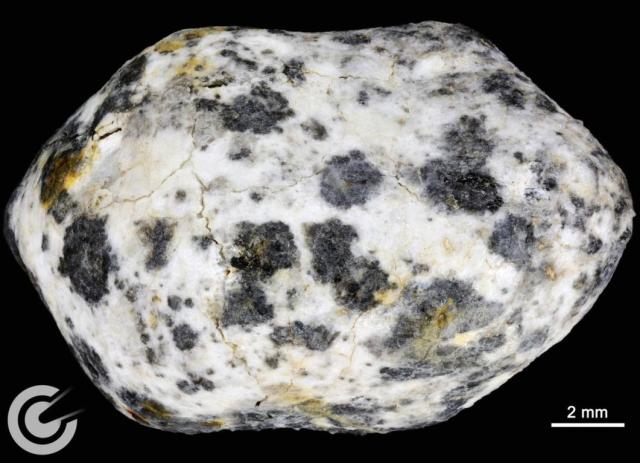 "2024 BX1, previously known under its temporary designation Sar2736, was a 44 centimetre-sized (17 inches) asteroid or meteoroid that entered Earth's atmosphere on 21 January 2024 00:33 UTC and disintegrated as a meteor over Berlin. The recovered fragments are known as the Ribbeck meteorite."

Meteoriten-Deutschlands, CC BY-SA 4.0, via Wikimedia Commons.