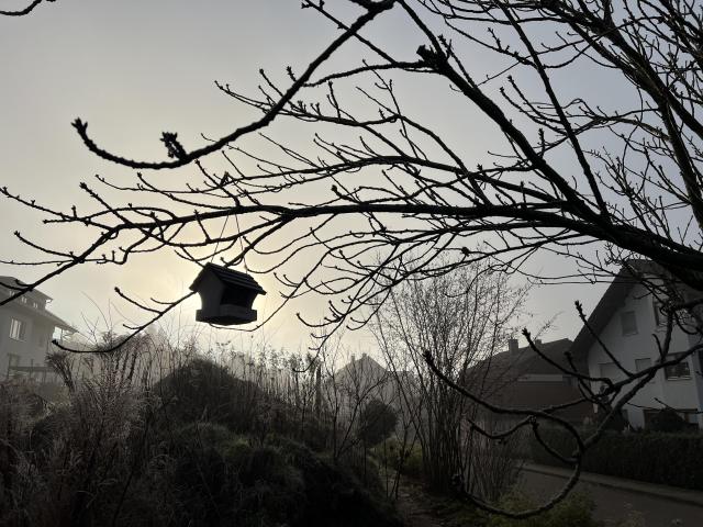 shadow of a house shaped bird feeder hanging in the bare branches of a tree against the sun, in a hazy bleak day 