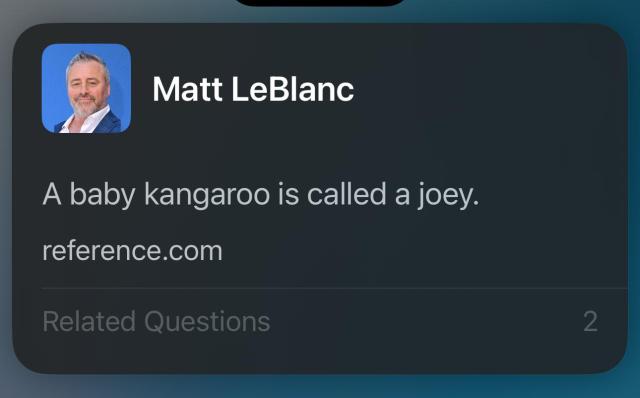 Screenshot from iOS showing the actor Matt LeBlanc. The text reads “A baby kangaroo is called a Joey.”