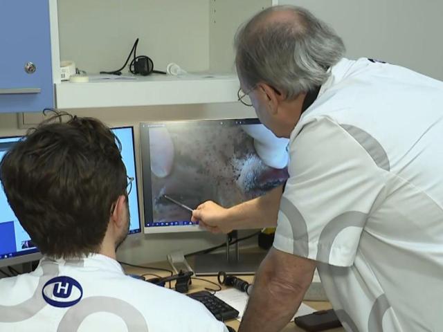 Eye doctors looking at screen