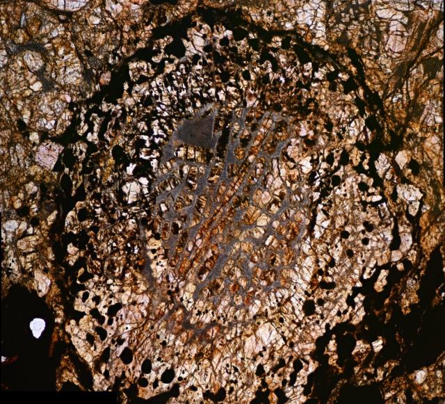 Microphoto of a thin section of the Northwest Africa (NWA) 11344 meteorite.