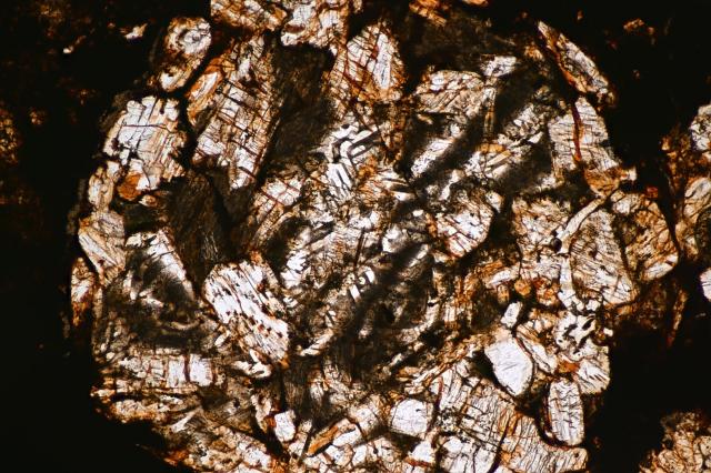 Microphoto of the Northwest Africa (NWA) 8773 Meteorite.