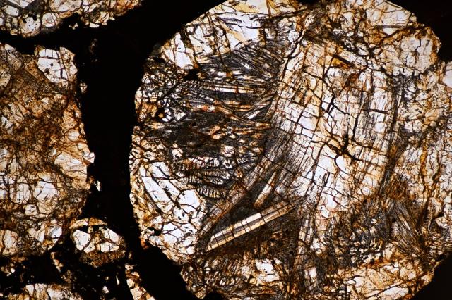 Microphoto of the Northwest Africa (NWA) 4910 Meteorite.