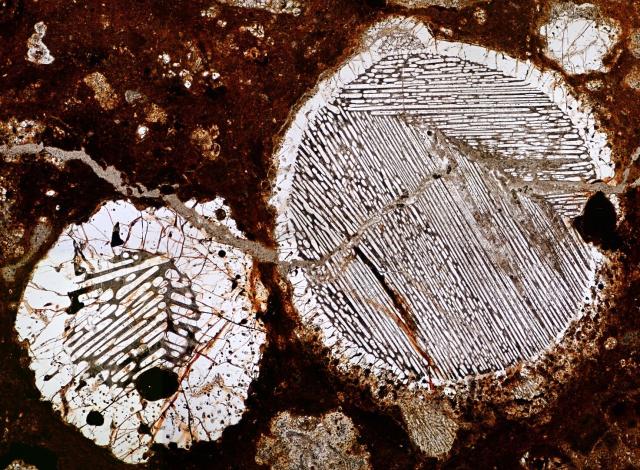 NWA 5930 Meteorite Thin Section microphotograph.