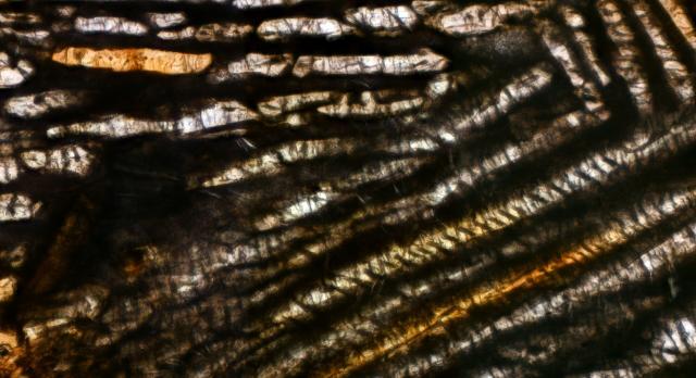 Microphoto of a thin section of the Northwest Africa (NWA) 11344 meteorite.