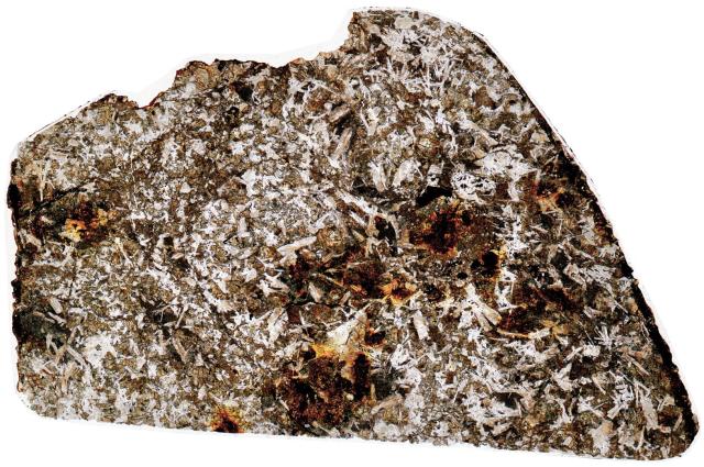 Northwest Africa (NWA) 5903 Meteorite Thin Section - HDR Pathscan Enabler.