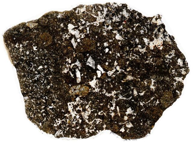 Northwest Africa (NWA) 2824 Meteorite Thin Section - HDR Pathscan Enabler.