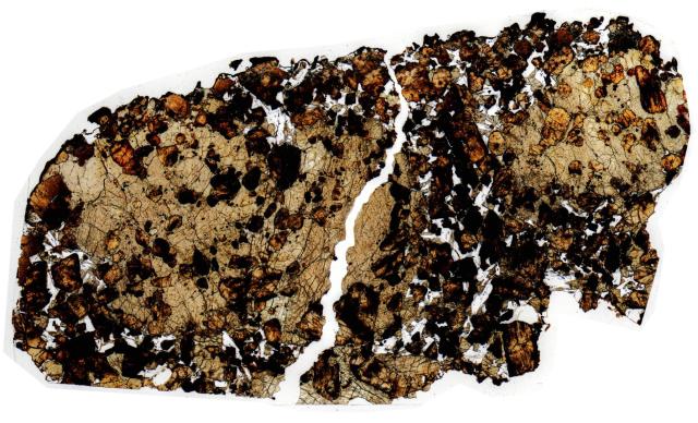 Northwest Africa (NWA) 1950 Meteorite Thin Section - HDR Pathscan Enabler.