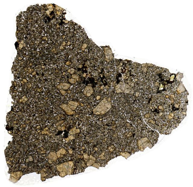 Tissint Meteorite Thin Section - HDR Pathscan Enabler.