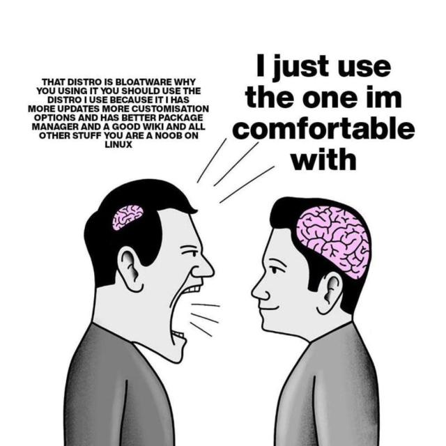 There are two people having a conversation, the one with the pea-sized brain says, “THAT DISTRO IS BLOATWARE WHY YOU USING IT YOU SHOULD USE THE DISTRO I USE BECAUSE IT HAS MORE UPDATES MORE CUSTOMISATION OPTIONS AND HAS BETTER PACKAGE MANAGER AND A GOOD WIKI AND ALL OTHER STUFF YOU ARE A NOOB ON LINUX”.

The other person with a normal-sized brain replies,“I just use the one im comfortable with”.
