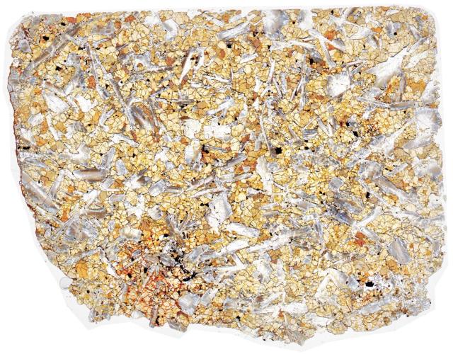 Sayh al Uhaymir (SaU) 562 Meteorite Thin Section - HDR Pathscan Enabler.