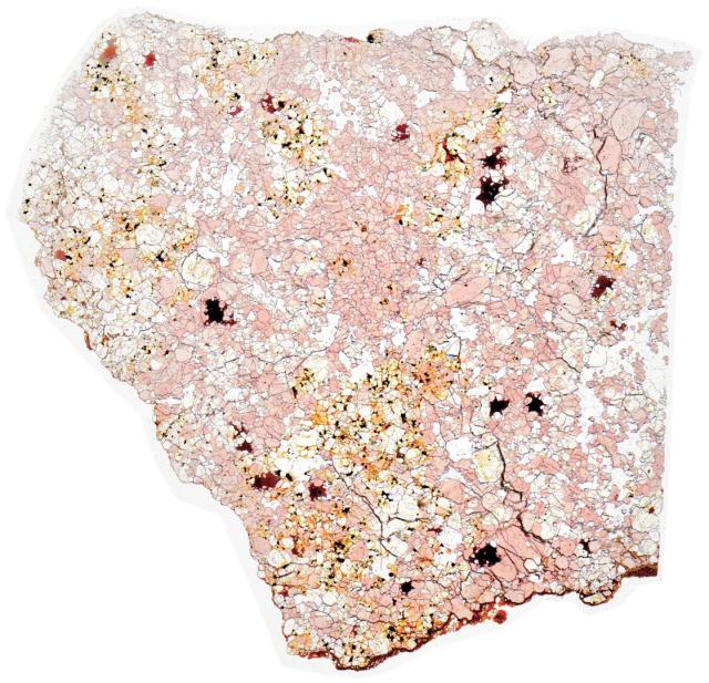 Northwest Africa (NWA) 4801 Meteorite Thin Section - HDR Pathscan Enabler.