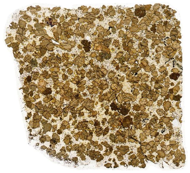 Northwest Africa (NWA) 4587 Meteorite Thin Section - HDR Pathscan Enabler.