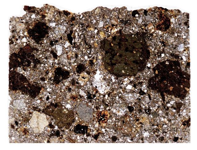 Northwest Africa (NWA) 10674 Meteorite Thin Section - HDR Pathscan Enabler.