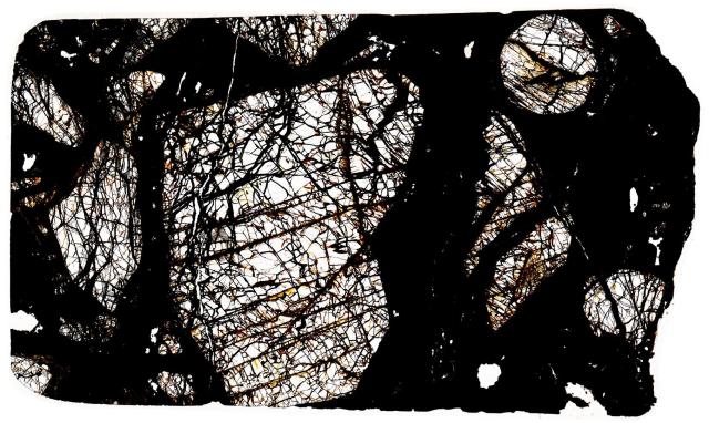 Huckitta Meteorite Thin Section - HDR Pathscan Enabler.