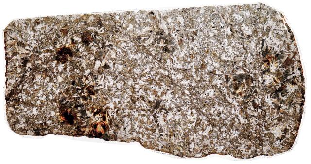 Northwest Africa (NWA) 5903 Meteorite Thin Section - HDR Pathscan Enabler.