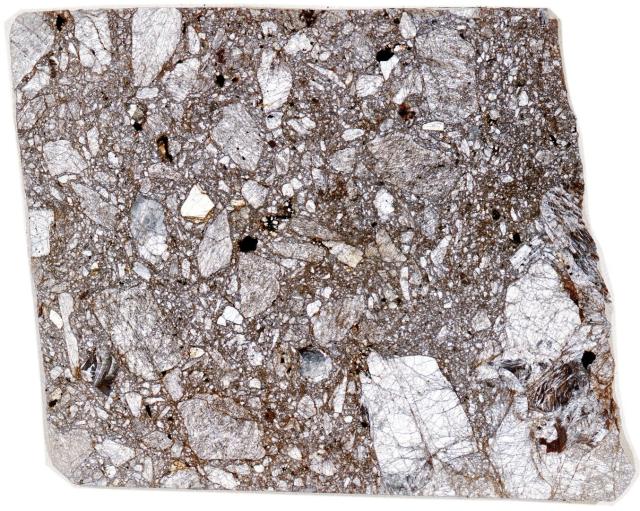 Peña Blanca Spring Meteorite Thin Section - HDR Pathscan Enabler.