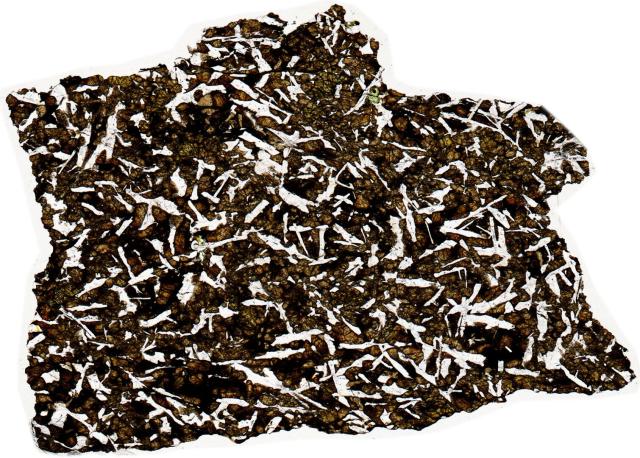 Northwest Africa (NWA) 4734 Meteorite Thin Section - HDR Pathscan Enabler.