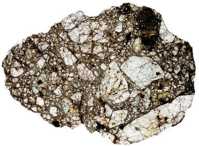 Northwest Africa (NWA) 11129 Meteorite Thin Section - HDR Pathscan Enabler.