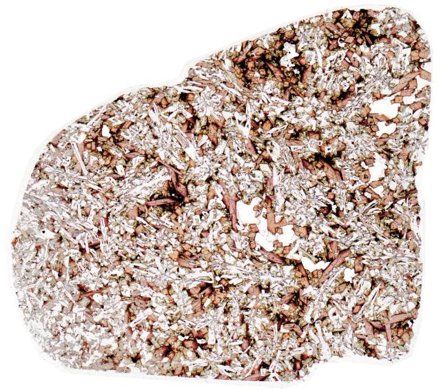 D'Orbigny Meteorite Thin Section - HDR Pathscan Enabler.