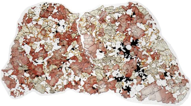 Northwest Africa (NWA) 4590 Meteorite Thin Section - HDR Pathscan Enabler.