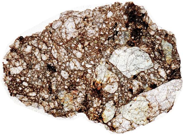 Northwest Africa (NWA) 11129 Meteorite Thin Section - HDR Pathscan Enabler.