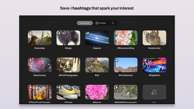 Save hashtags that spark your interest (screenshot of app hashtag grid)