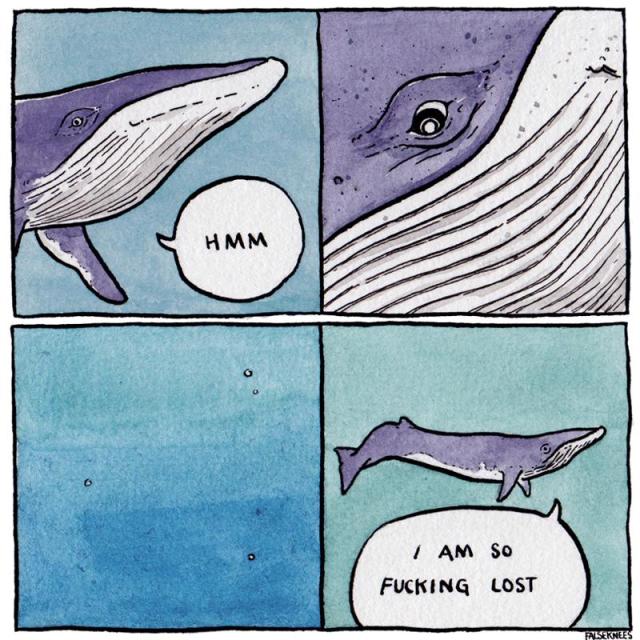 Panel 1: humpback whale speaking to itself "hmm"
Panel 2: close up of whale looking down
Panel 3: vast blue ocean
Panel 4: whale continues "I am so fucking lost"