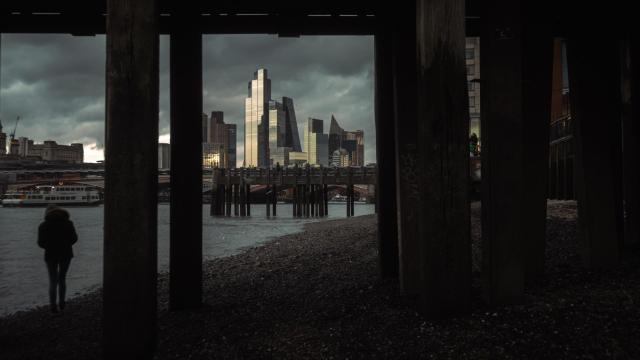 Photograph showing tall buildings in the distance shot from the riverside.