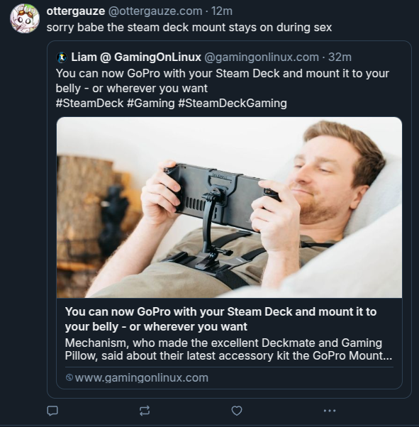 User on Bluesky comments "sorry babe the steam deck mount stays on during sex" on my Mechanism GoPro article