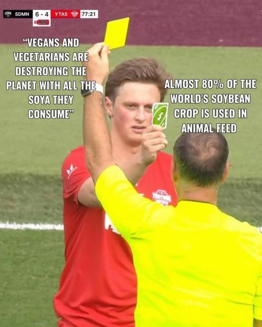"Vegans and Vegetarians are destroying the planet with all the soya they consume."

Almost 80% of the world's soybean crop is used in animal feed