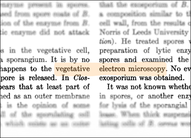 Snippet of a legitimate article from 1959 where vegetative in one column aligns with electron microscopy in the other 