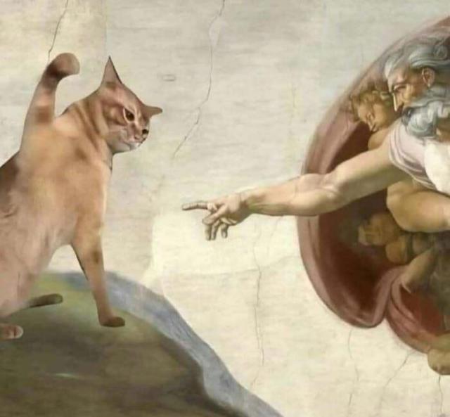 cat smacks god