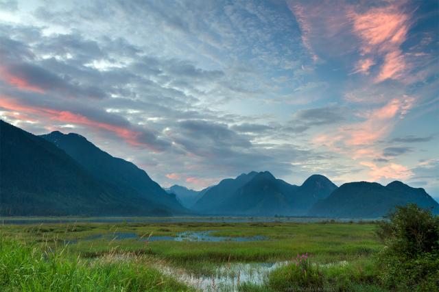 A tidal marsh with a river and mountains in the background, with pink bands of sunset light in the clouds.  Grasses surround and poke through the pools of water in the foreground marsh.