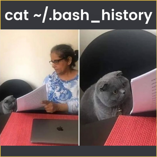 There is a command at the top that is: cat ~/.bash_history

Below that is a cat being shown their bash history.