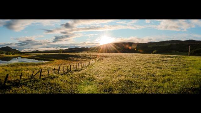 ### Motiv:
Das Bild zeigt eine weitläufige Landschaft mit einer Wiese, die sich sanft zum Horizont erstreckt. Im Hintergrund erheben sich sanfte Hügel, während die Sonne gerade aufgeht und die Szene in warmes Licht taucht. Ein Zaun aus Holzpfosten zieht sich entlang der Wiese, und ein ruhiger Teich spiegelt den Himmel wider.

### Stimmung und Wirkung:
Die Atmosphäre des Bildes ist friedlich und erweckt ein Gefühl der Weite sowie der Erneuerung. Der Sonnenaufgang vermittelt Hoffnung und Aufbruch, während die harmonische Naturidylle eine einladende und beruhigende Wirkung hat.

### Technische Details:
Das Bild nutzt helle, warme Farben mit grünem Gras, blauem Himmel und goldenem Sonnenlicht. Die Lichtverhältnisse sind sanft, mit einer klaren Beleuchtung durch die aufgehende Sonne. Die Komposition betont die Weite der Landschaft und führt das Auge entlang des Zauns zu den Hügeln im Hintergrund.