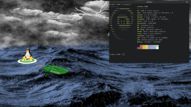 Linux Mint tux on a raft