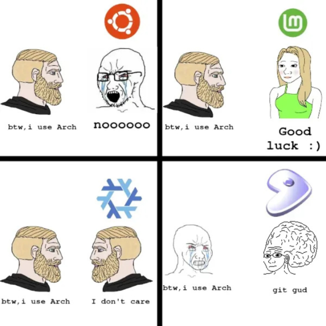 There are four panels in this meme. In the first panel, a bearded person says, "btw, i use Arch", with the other person with an Ubuntu logo on their head saying, "nooooo".

In the second panel, a bearded person says, "btw, i use Arch", with the other person with an Linux Mint logo on their head saying, "Good luck :)".

In the third panel, a bearded person says, "btw, i use Arch", with the other person with an NixOS logo on their head saying, "I don't care".

In the fourth panel, a bearded person says, "btw, i use Arch", with the other person with an Gentoo logo on their massive head saying, "git gud".
