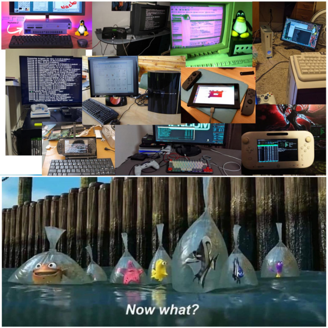In the upper part, there are many photos that show Linux running on a variety of devices.

In the second part, there are seven sea creatures inside poly bags, with one of them asking,"Now what?".
