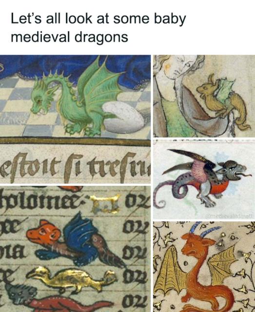 dragons