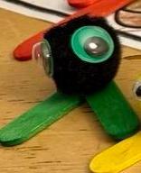 Black pom pom pet with big green eyes and green feet.