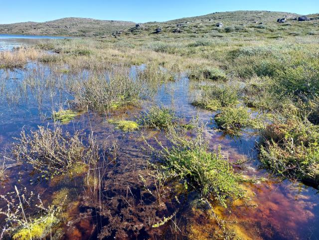 Lakes in West Greenland
