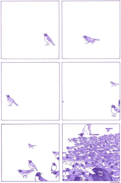 A single american robin scurries past, from right to left, an otherwise blank background. Just as is leaves the screen, a few more trickle in on the right. And then a few more. Suddenly the screen is flooded with a horde of robins, returning after the winter