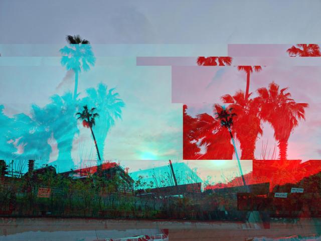 picture of palm tree silhouettes near dusk, glitched