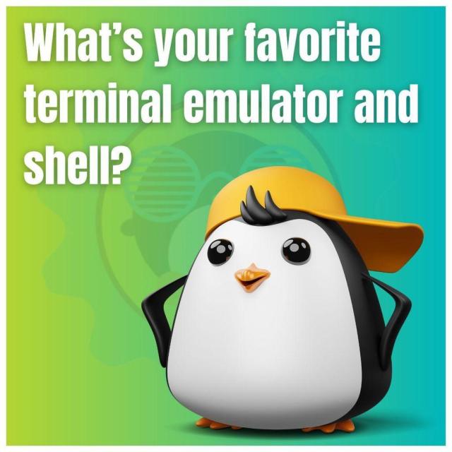 What's your favorite terminal emulator and shell?